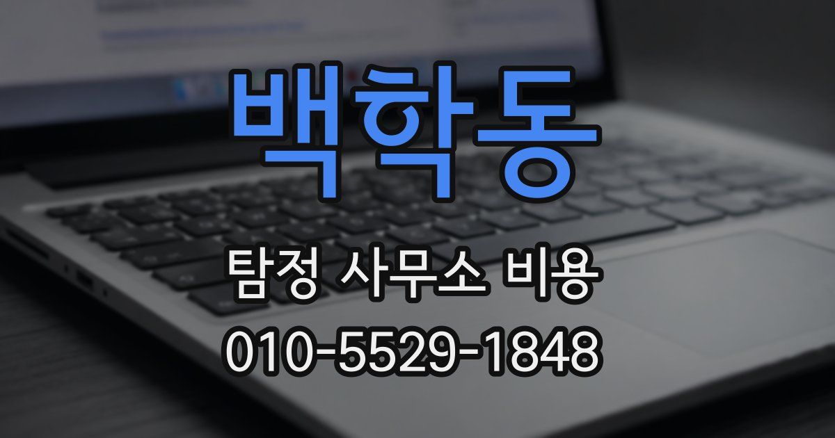 백학동 탐정 사무소 비용