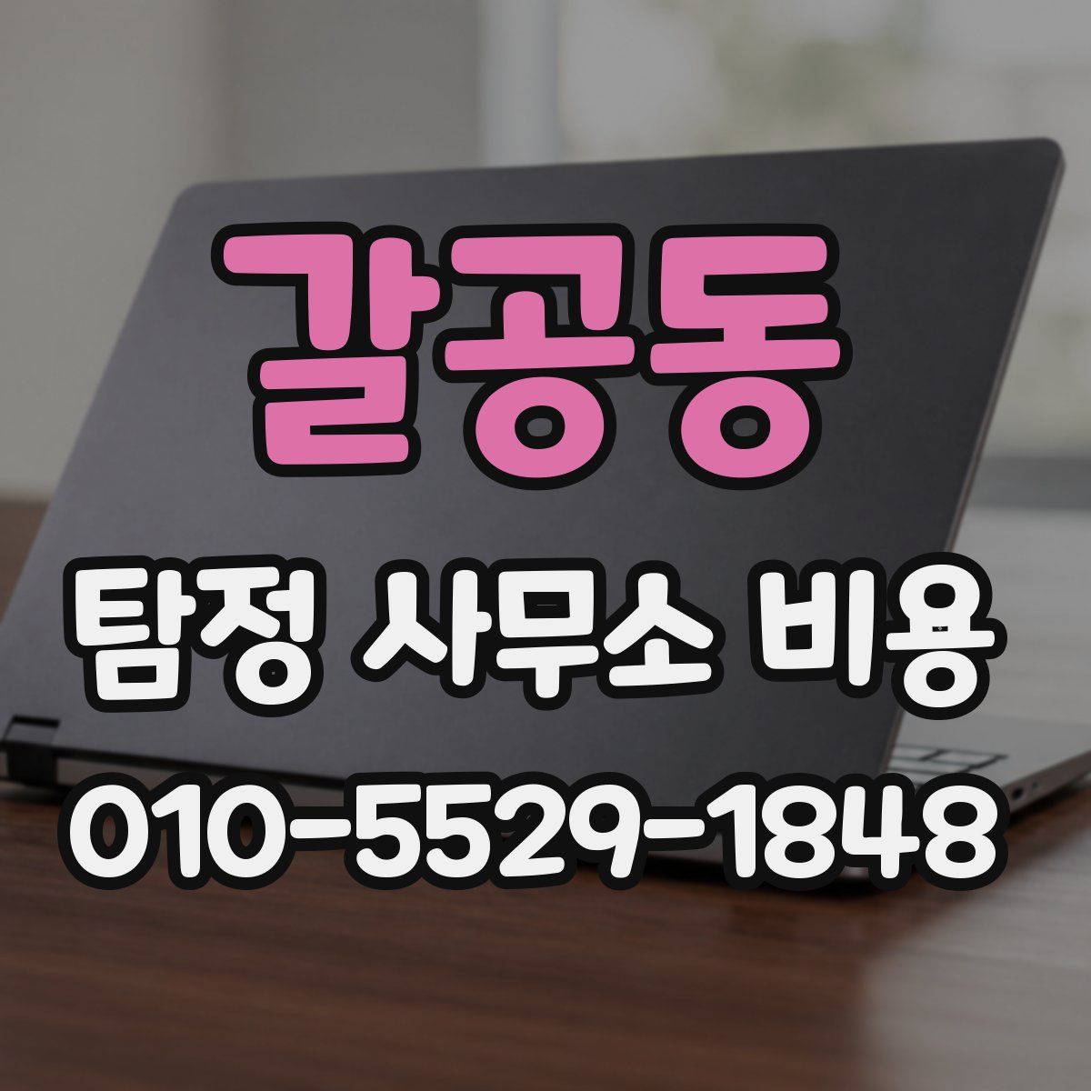 갈공동 탐정 사무소 비용