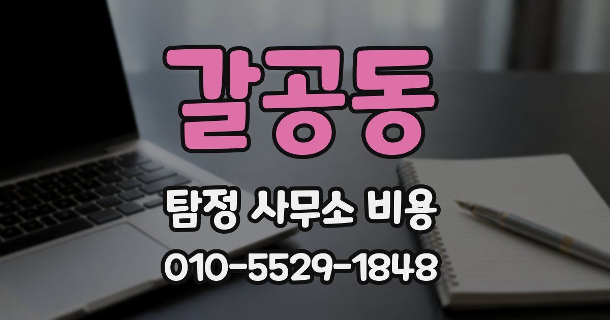 갈공동 탐정 사무소 비용