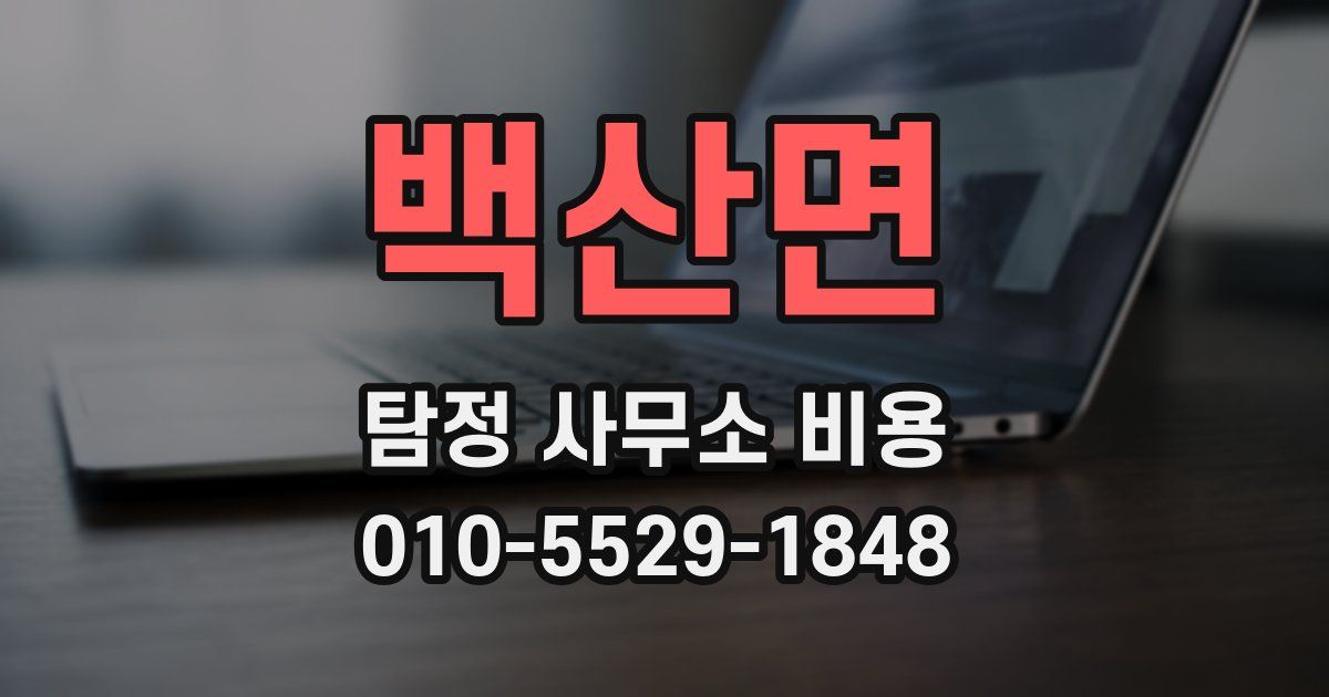 백산면 탐정 사무소 비용