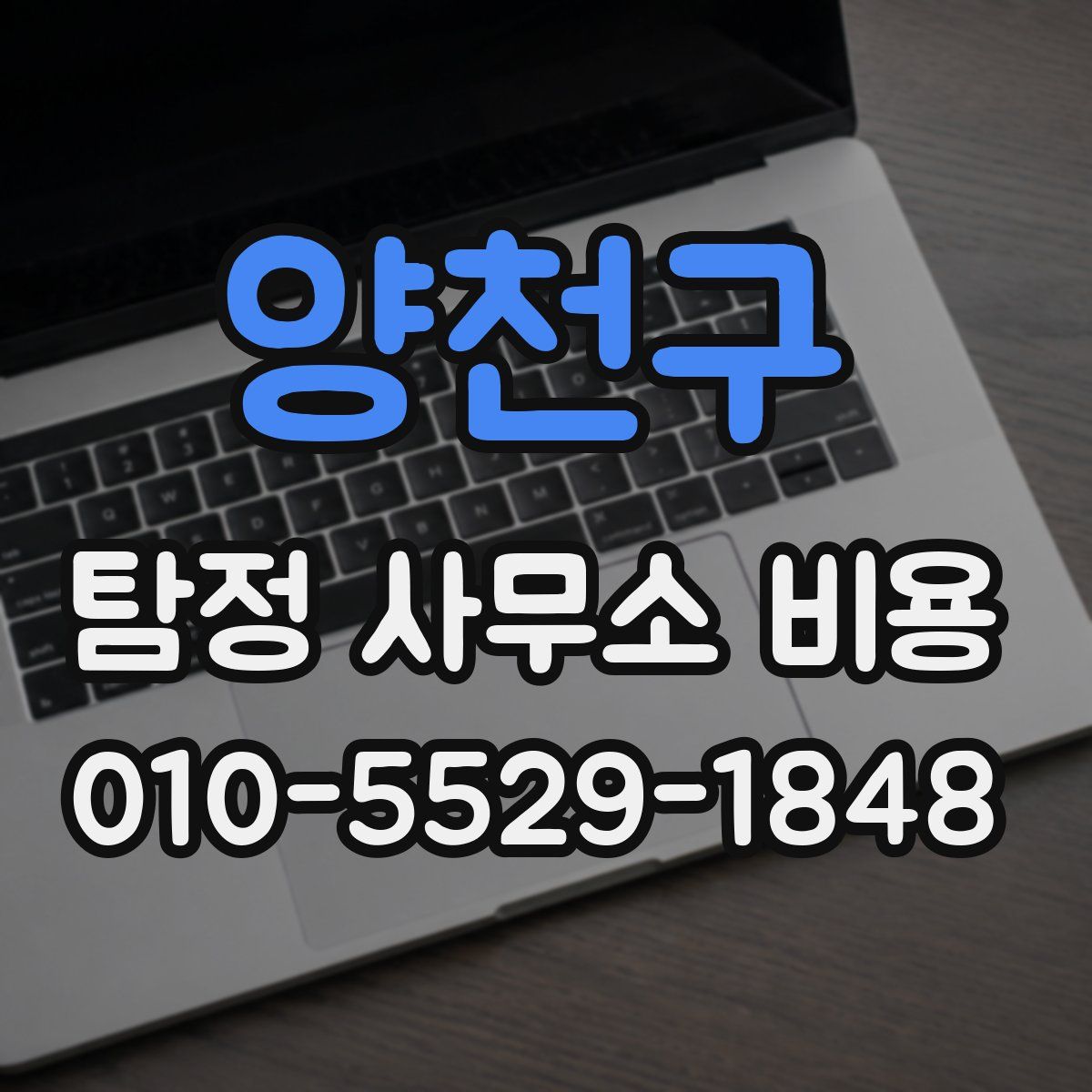 양천구 탐정 사무소 비용