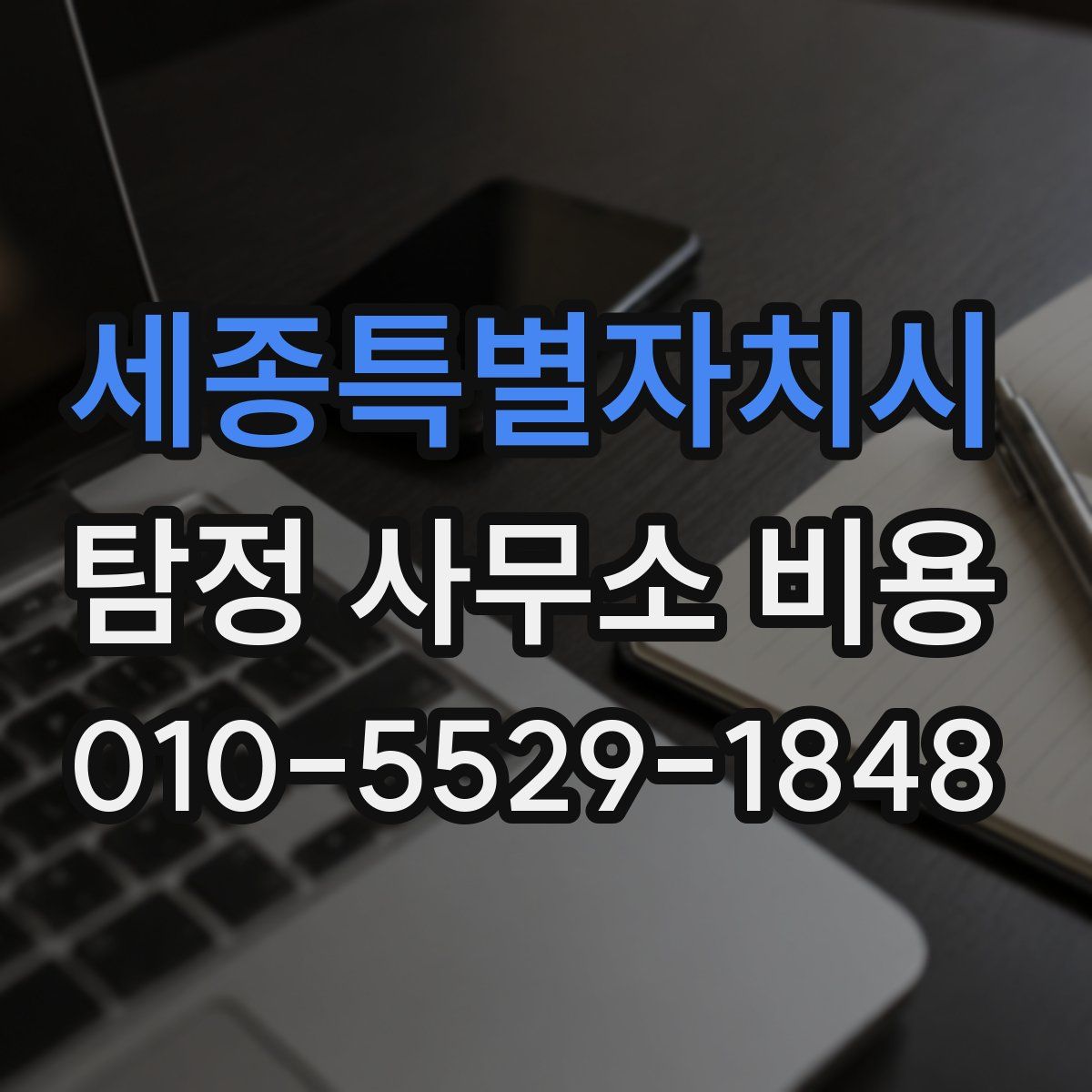 세종특별자치시 탐정 사무소 비용