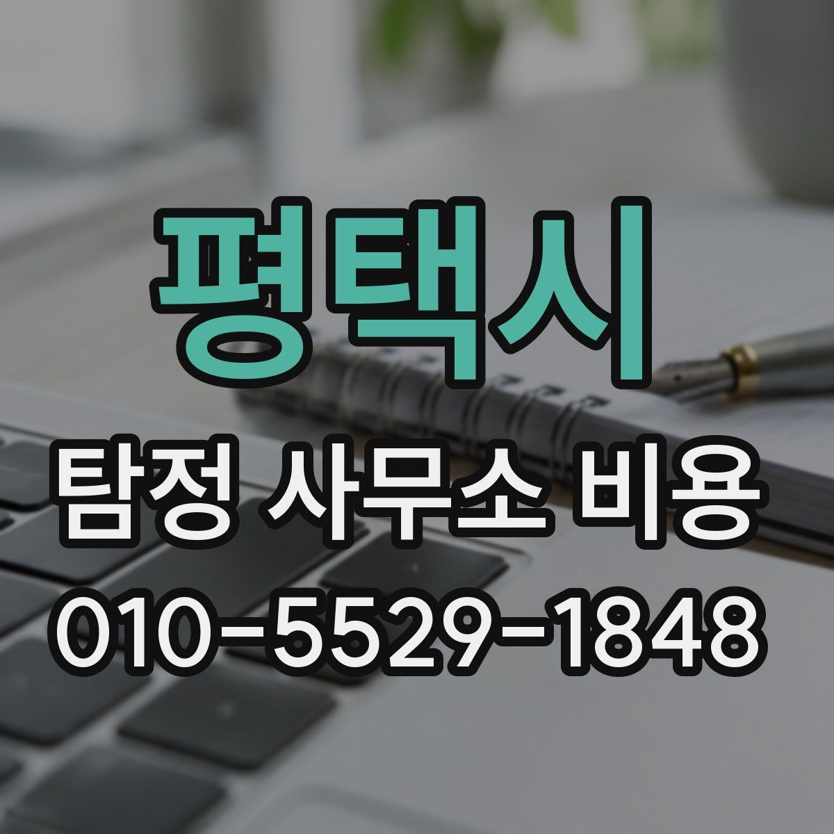 평택시 탐정 사무소 비용