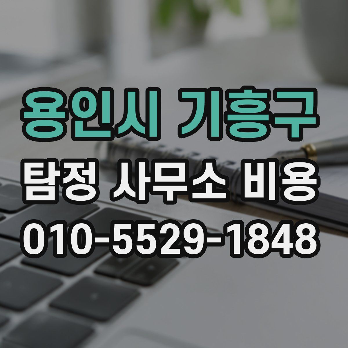 용인시 기흥구 탐정 사무소 비용