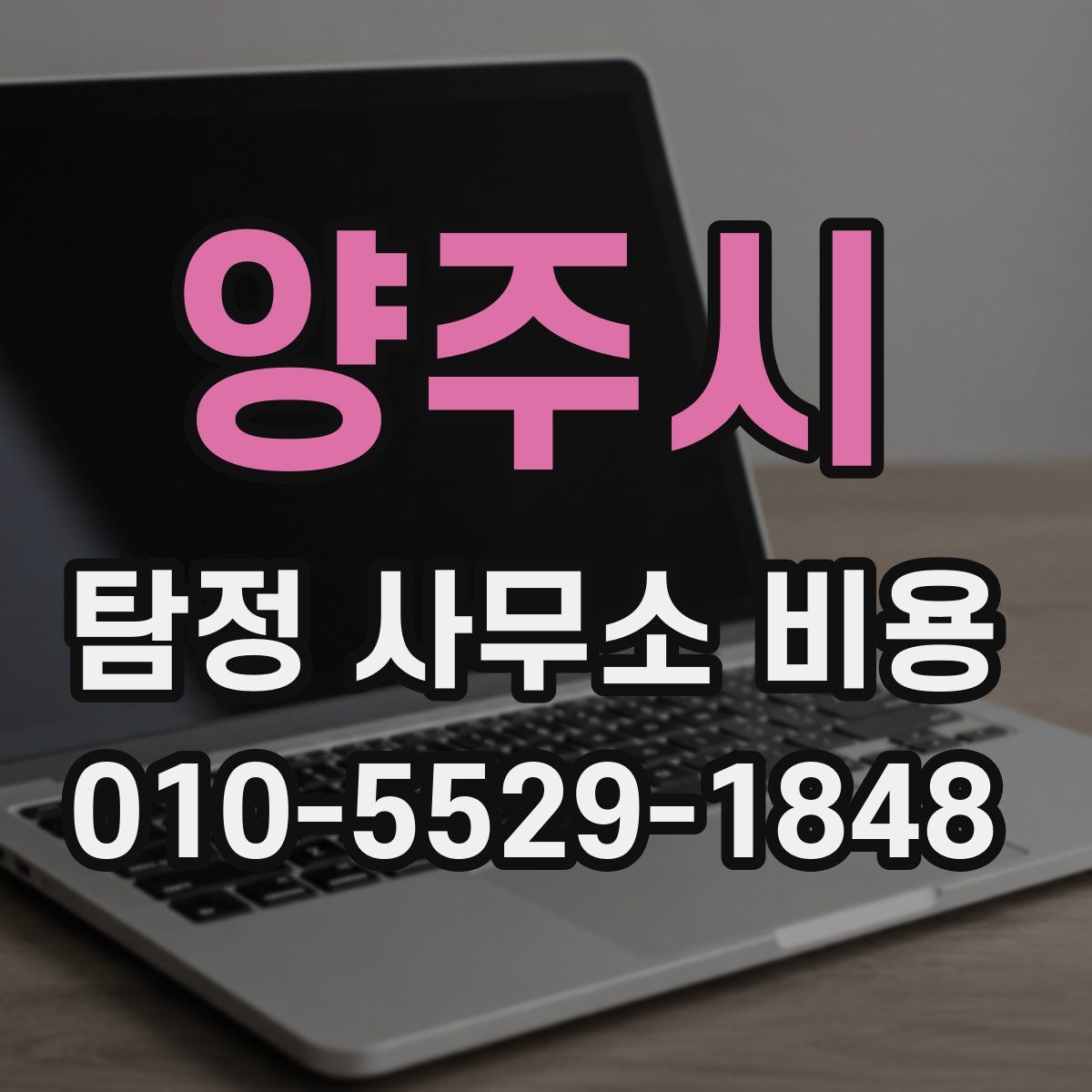 양주시 탐정 사무소 비용