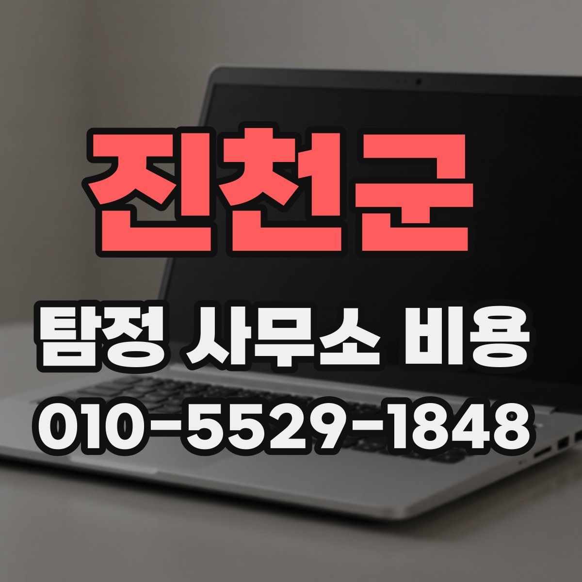 진천군 탐정 사무소 비용