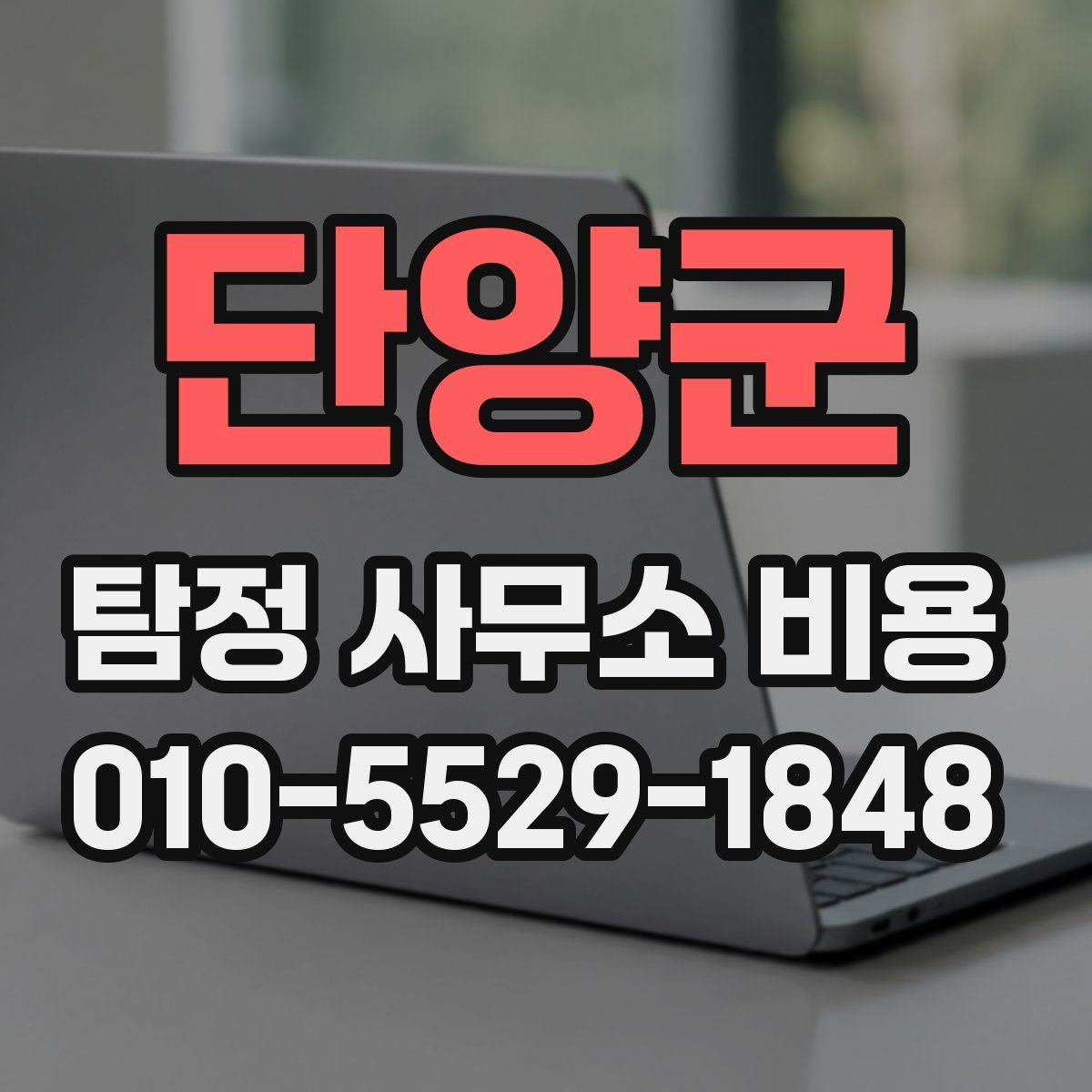 단양군 탐정 사무소 비용