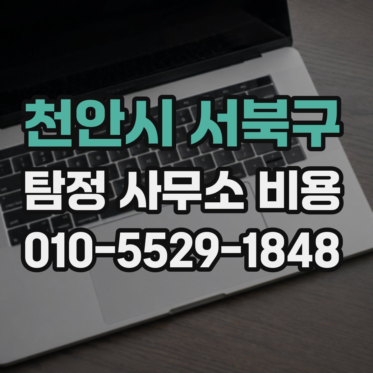 천안시 서북구 탐정 사무소 비용