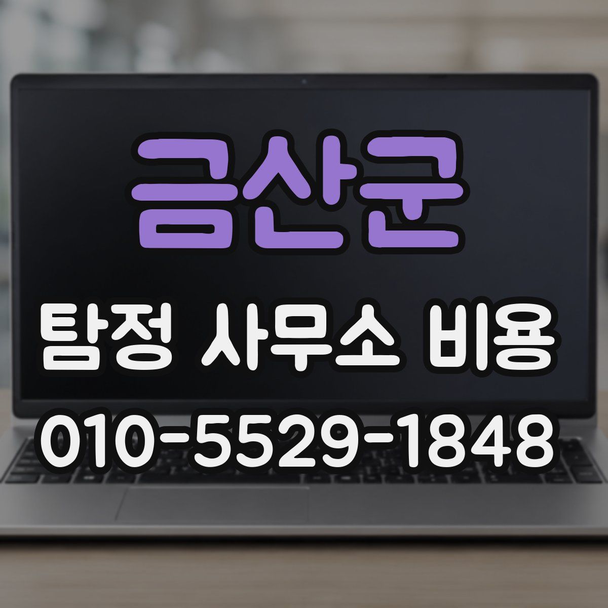 금산군 탐정 사무소 비용