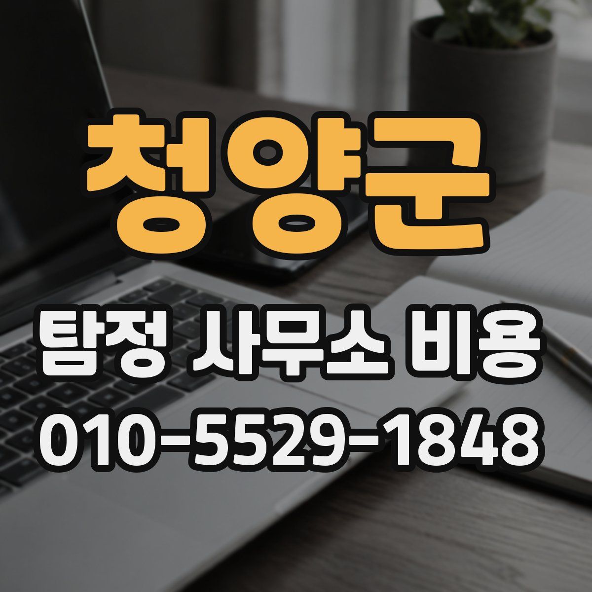 청양군 탐정 사무소 비용