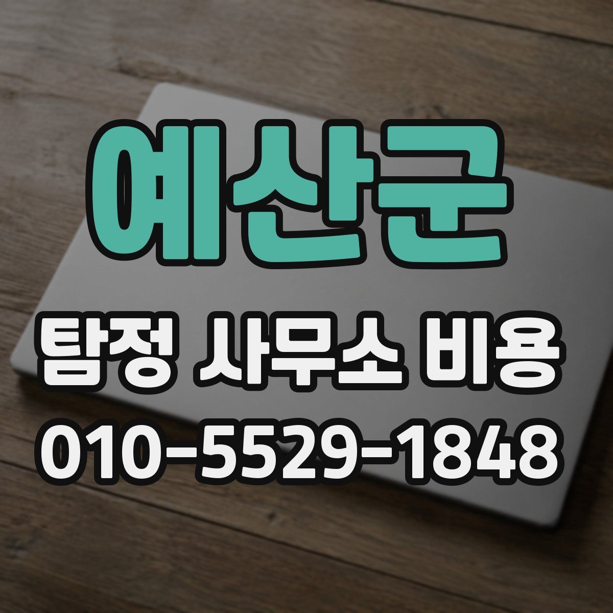 예산군 탐정 사무소 비용