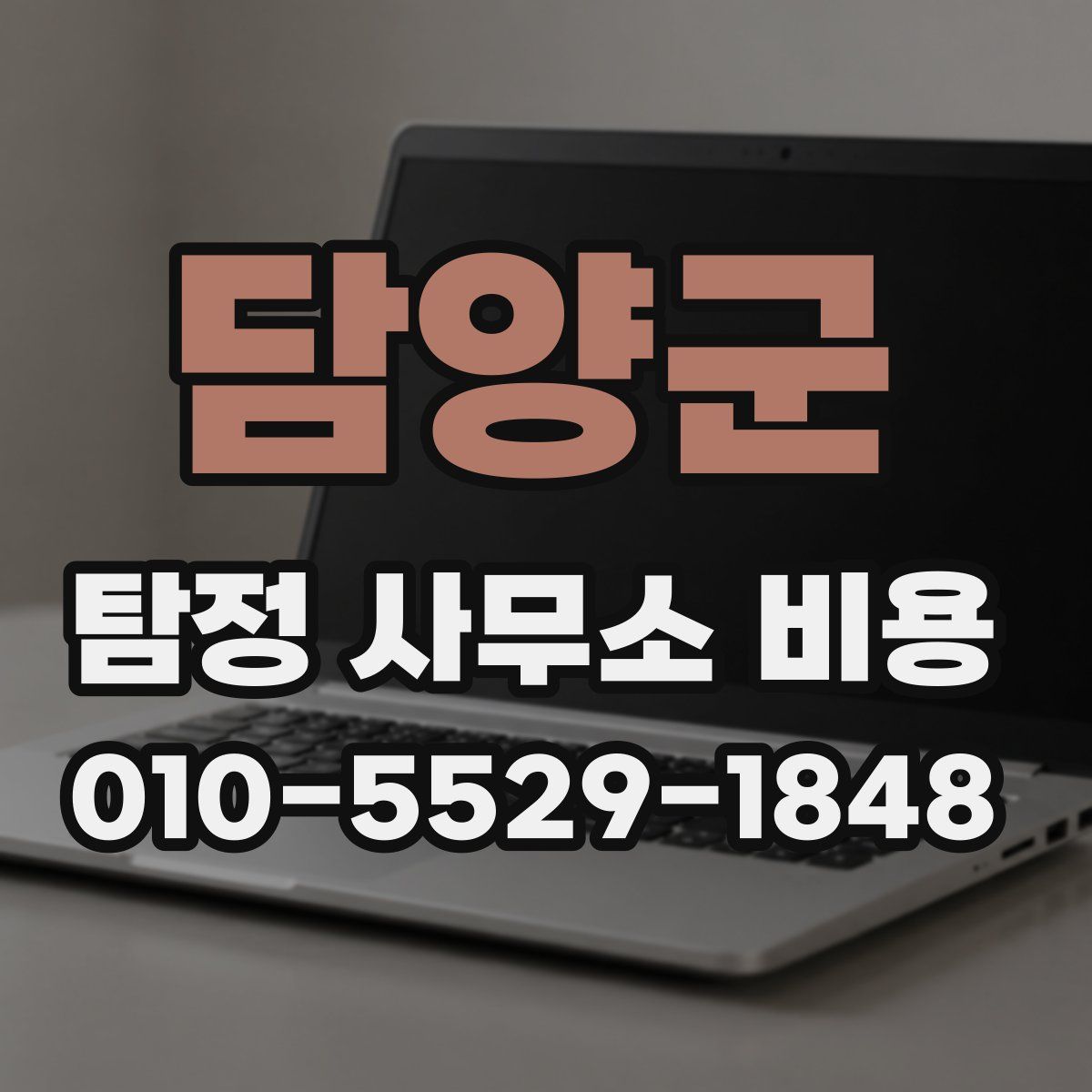 담양군 탐정 사무소 비용