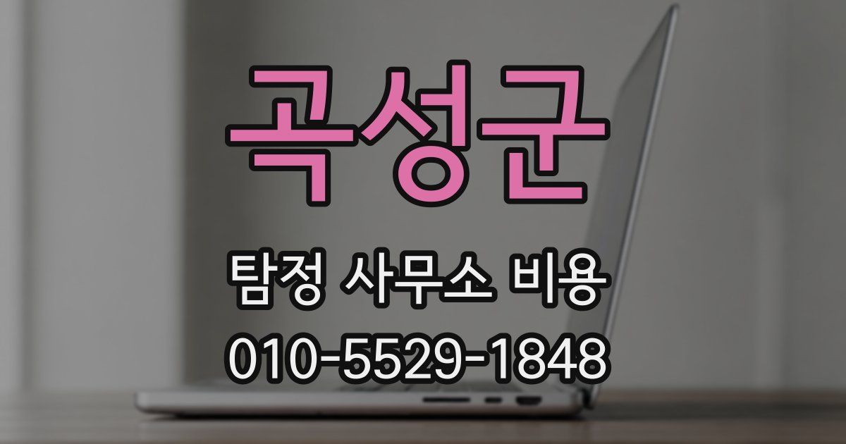 곡성군 탐정 사무소 비용