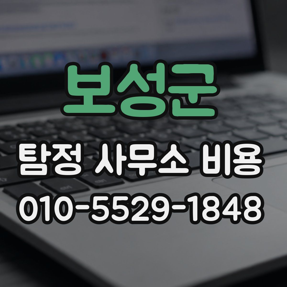 보성군 탐정 사무소 비용