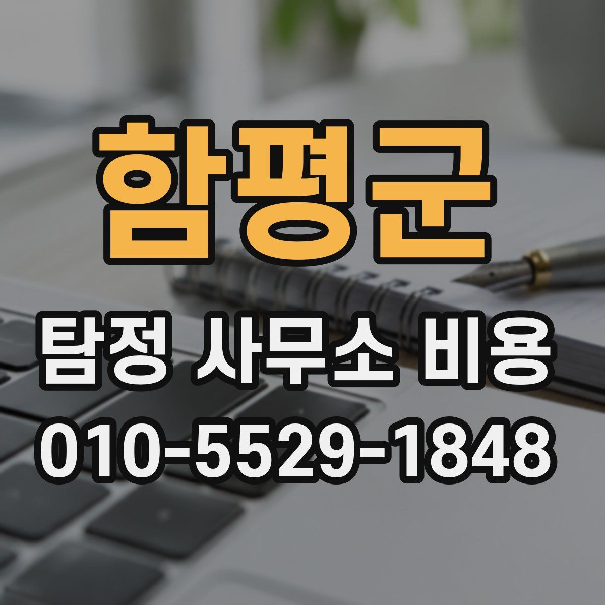 함평군 탐정 사무소 비용
