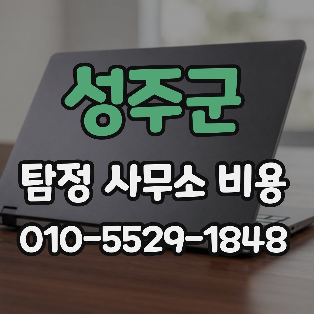 성주군 탐정 사무소 비용