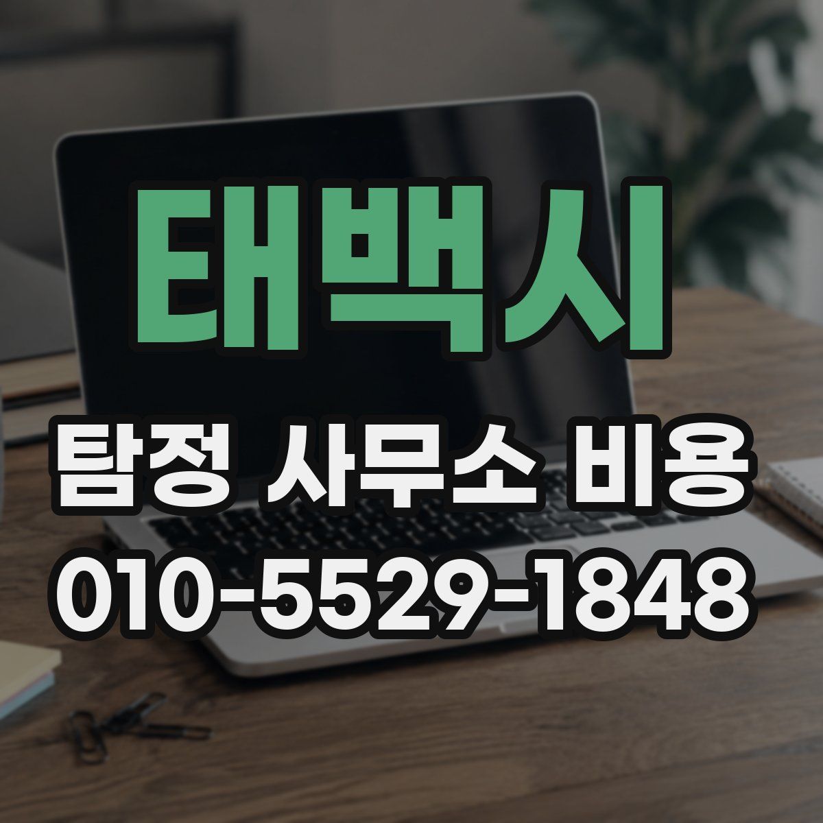 태백시 탐정 사무소 비용