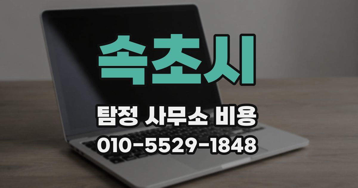 속초시 탐정 사무소 비용