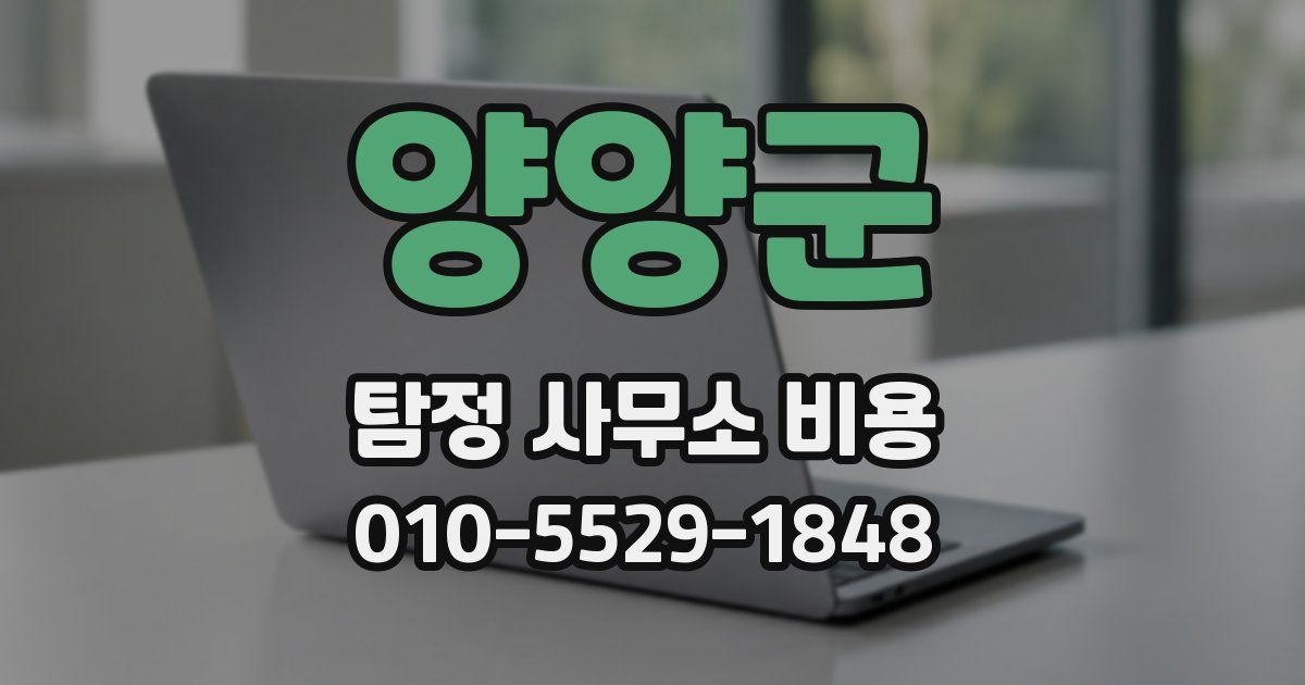 양양군 탐정 사무소 비용