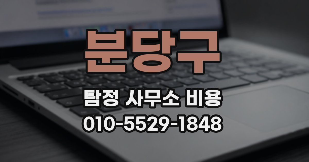 분당구 탐정 사무소 비용