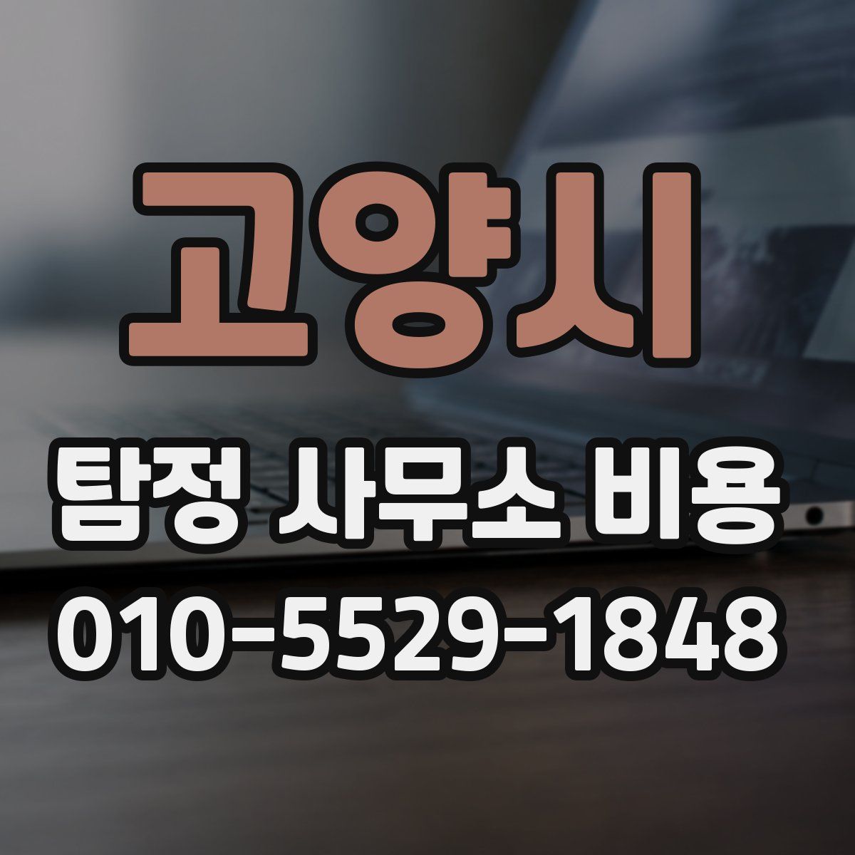 고양시 탐정 사무소 비용