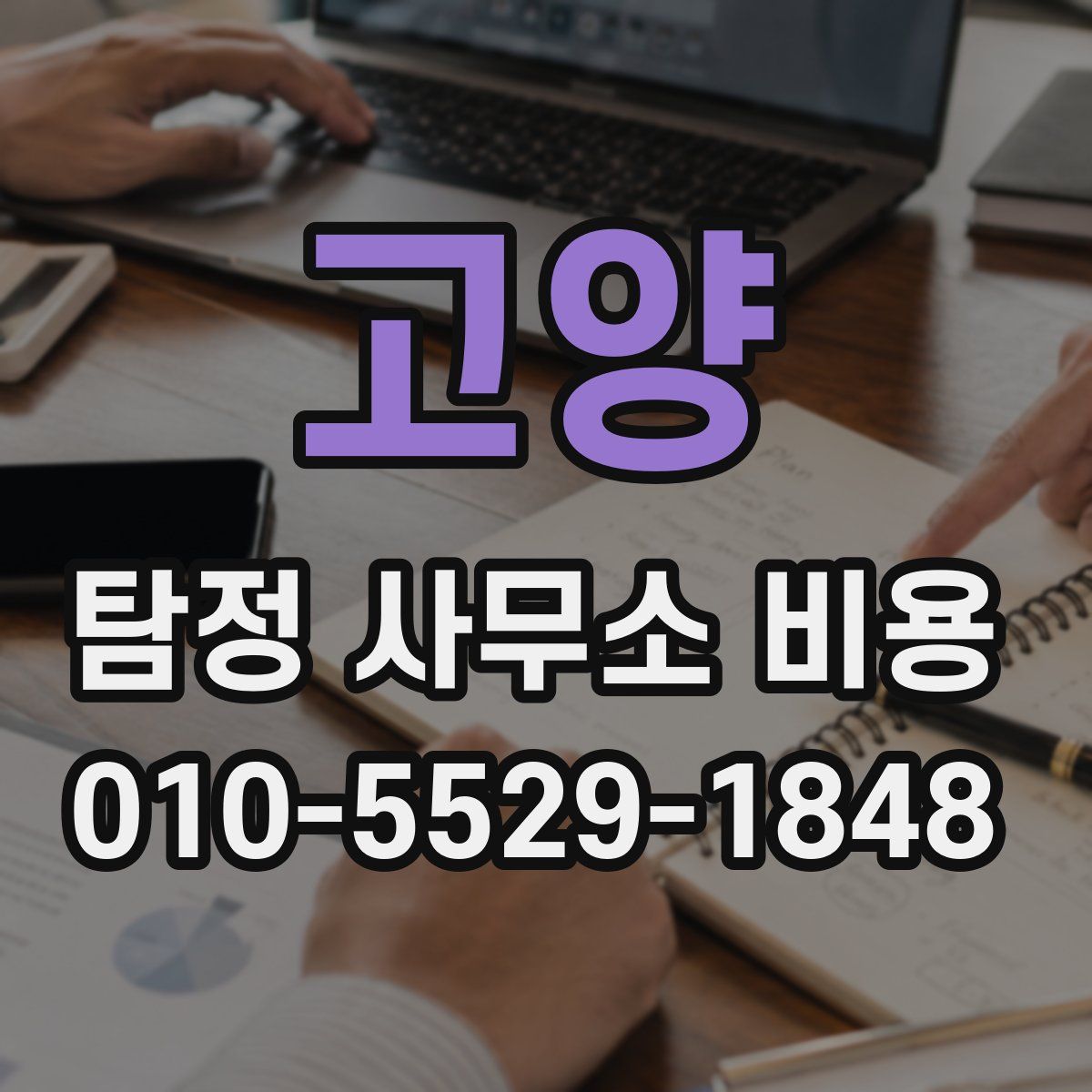 고양 탐정 사무소 비용