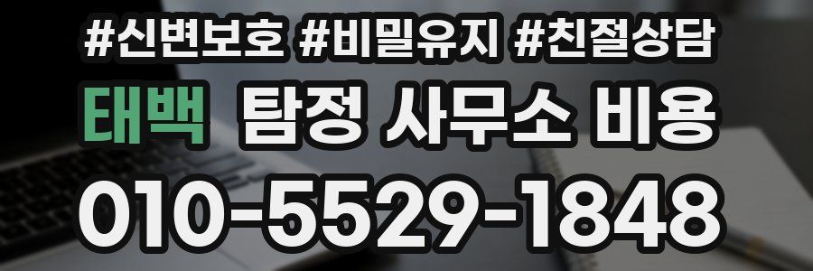 태백 탐정 사무소 비용