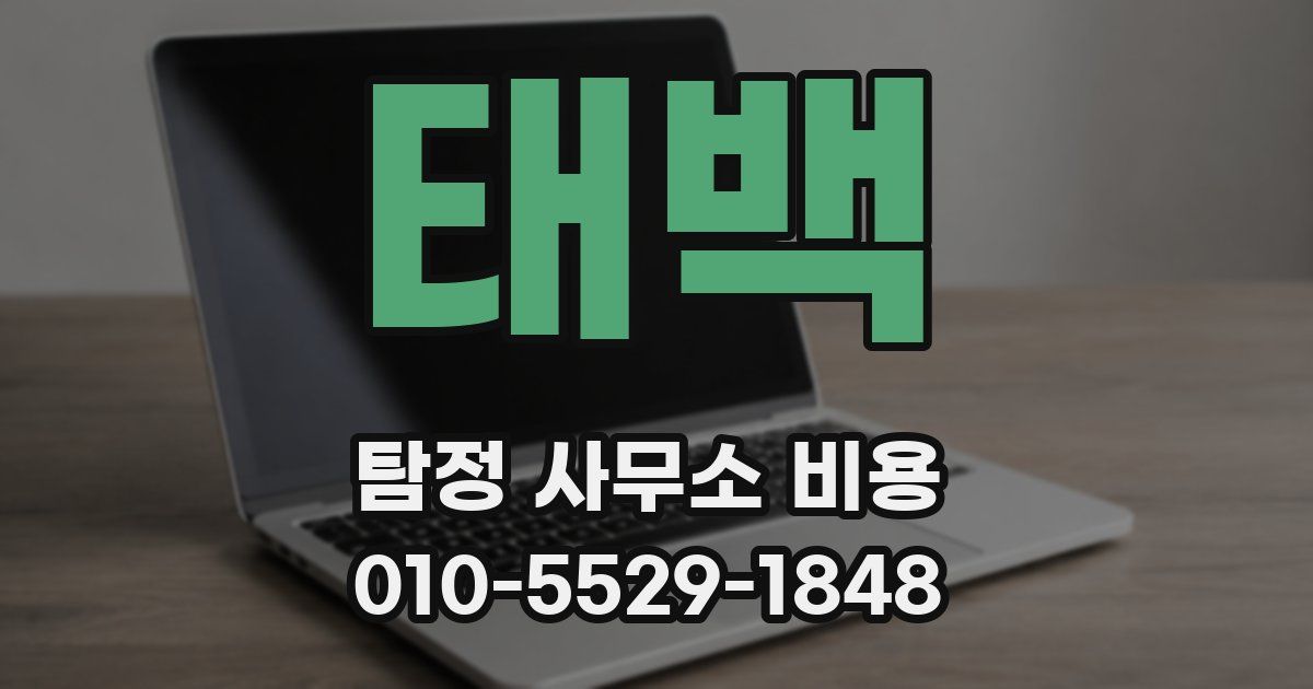 태백 탐정 사무소 비용