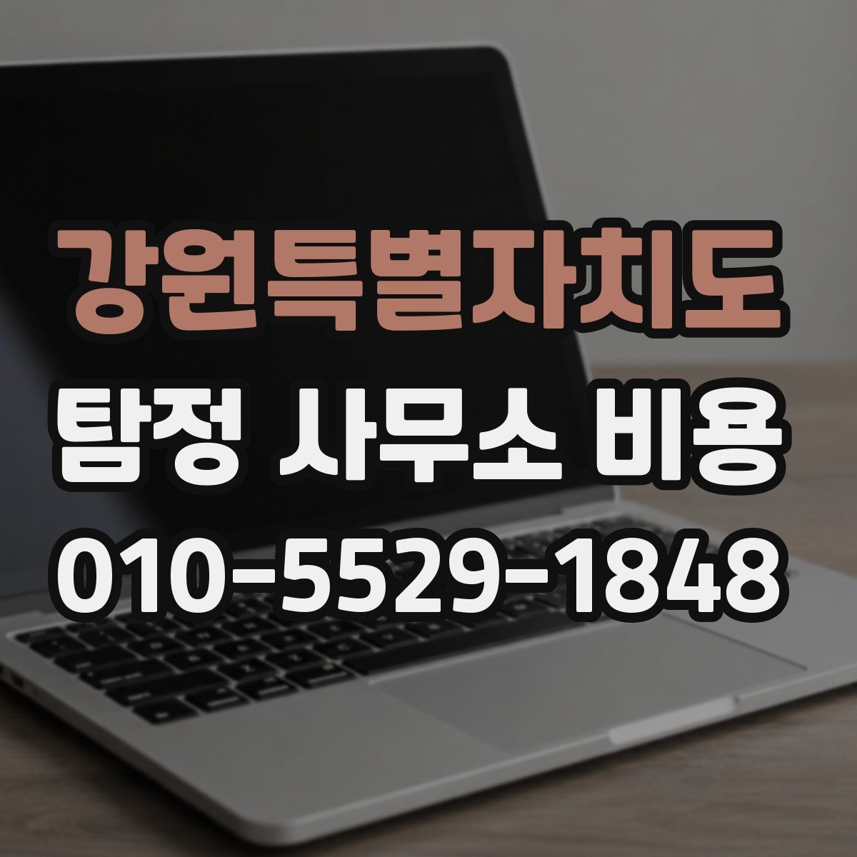 강원특별자치도 탐정 사무소 비용