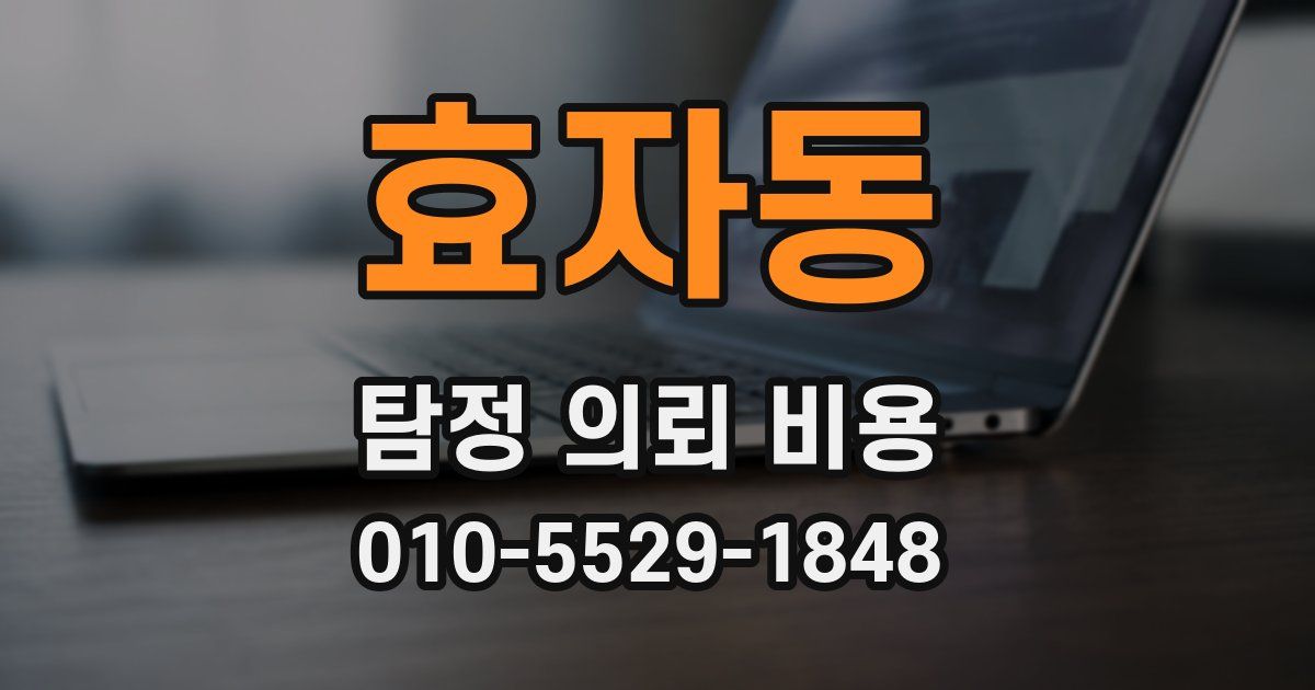 효자동 탐정 의뢰 비용