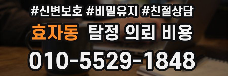 효자동 탐정 의뢰 비용