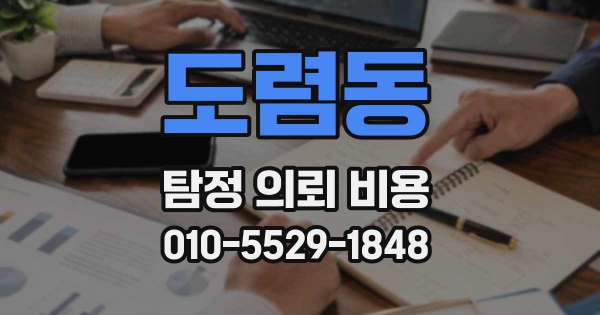 도렴동 탐정 의뢰 비용