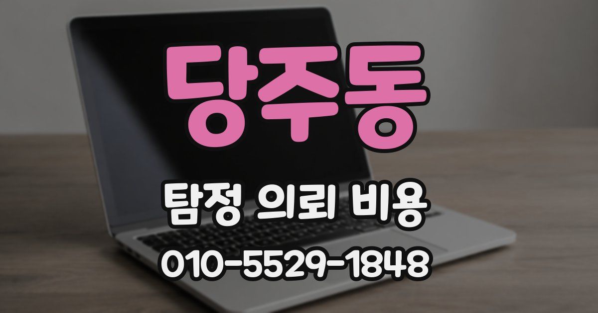 당주동 탐정 의뢰 비용