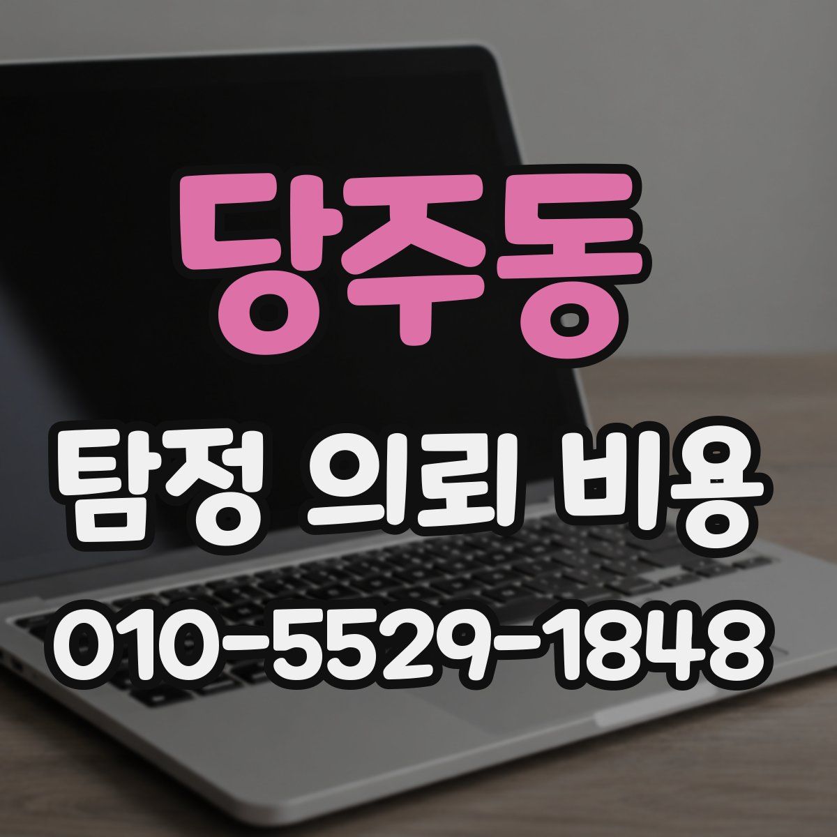 당주동 탐정 의뢰 비용