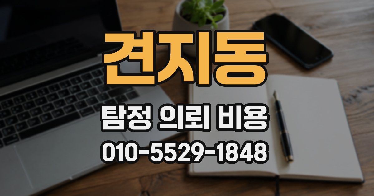 견지동 탐정 의뢰 비용