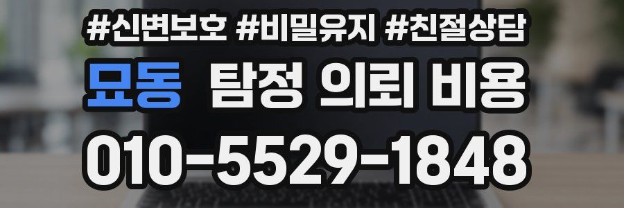 묘동 탐정 의뢰 비용