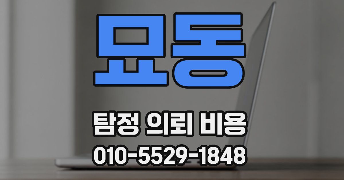 묘동 탐정 의뢰 비용