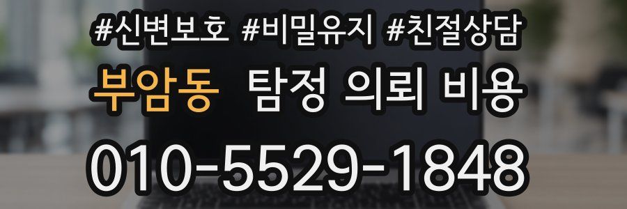 부암동 탐정 의뢰 비용