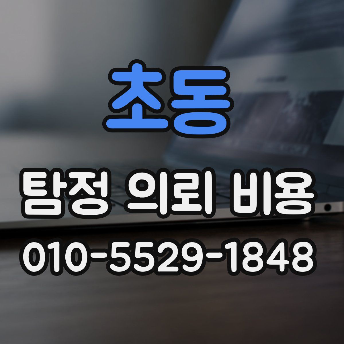 초동 탐정 의뢰 비용