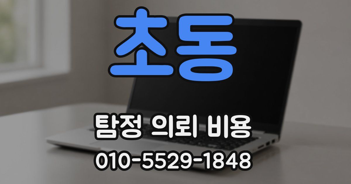 초동 탐정 의뢰 비용