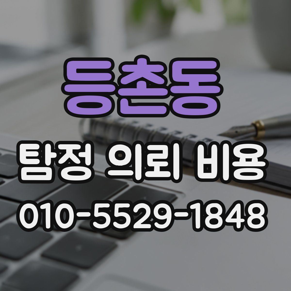 등촌동 탐정 의뢰 비용
