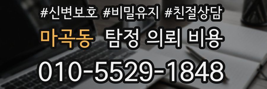 마곡동 탐정 의뢰 비용