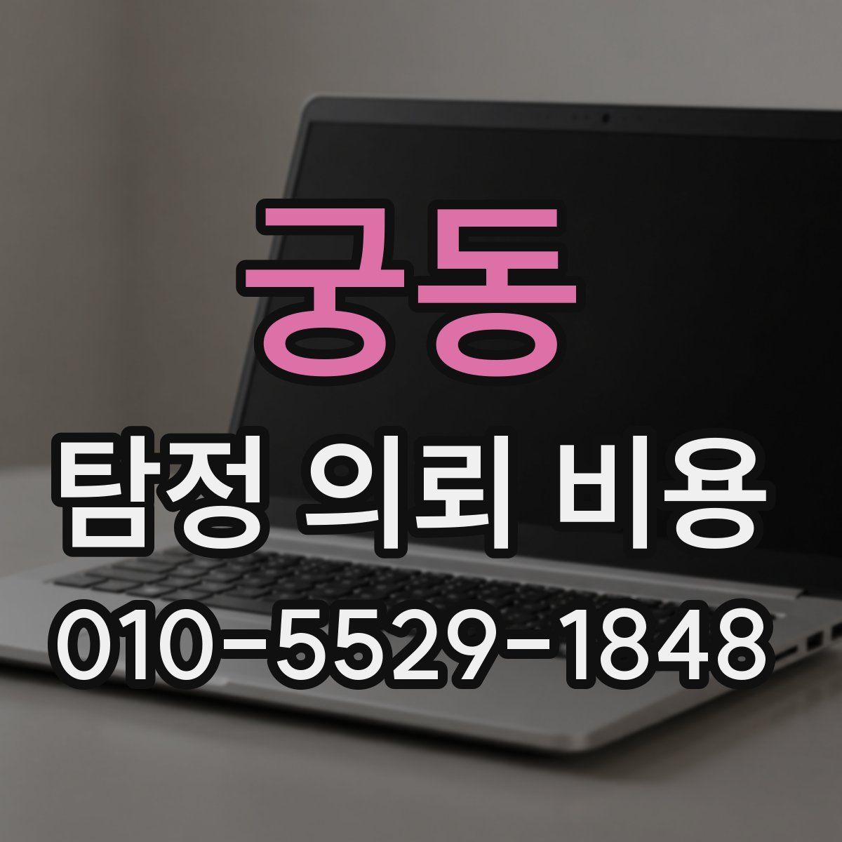 궁동 탐정 의뢰 비용