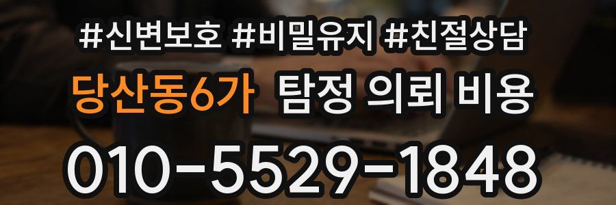 당산동6가 탐정 의뢰 비용