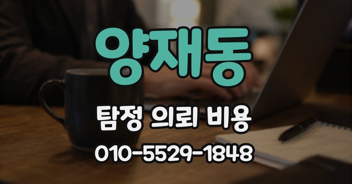 양재동 탐정 의뢰 비용