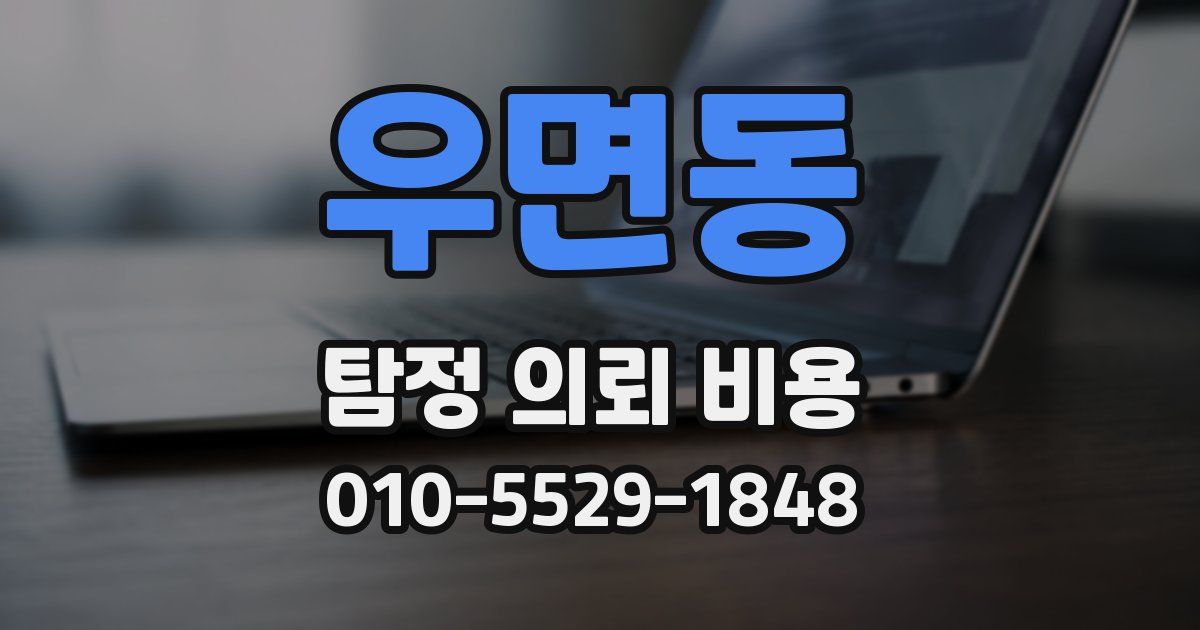 우면동 탐정 의뢰 비용