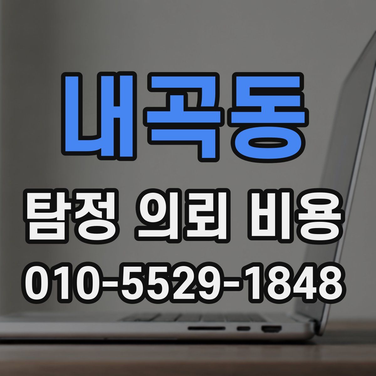내곡동 탐정 의뢰 비용