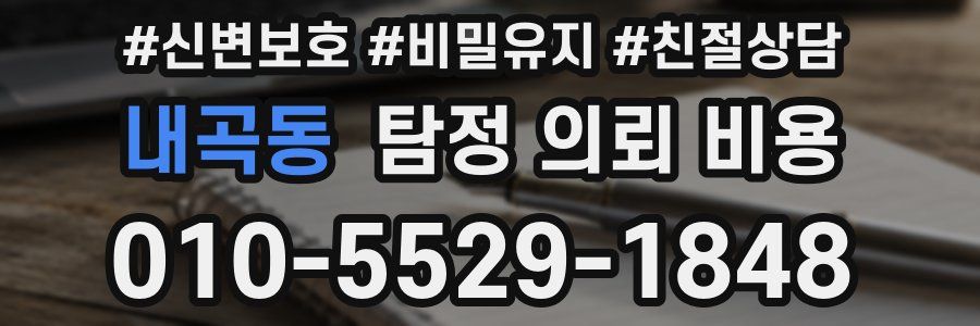 내곡동 탐정 의뢰 비용