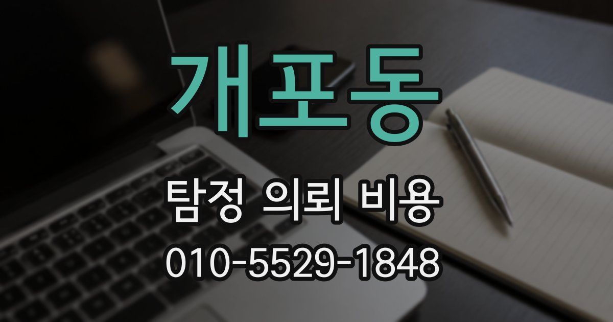 개포동 탐정 의뢰 비용
