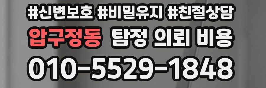 압구정동 탐정 의뢰 비용